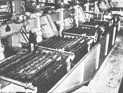 procesamiento-de-carbon-grueso-y-fino-carbon-paleta