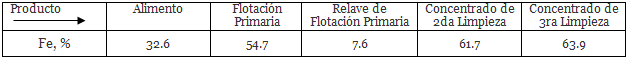 procesamiento-de-hematita-por-flotacion-siguiente-tabla